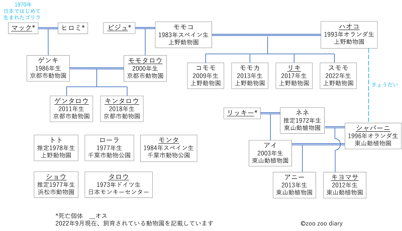 日本のゴリラ　相関図　家系図